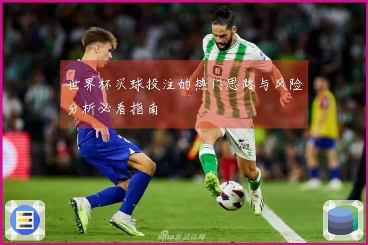 世界杯买球投注的热门思路与风险分析必看指南