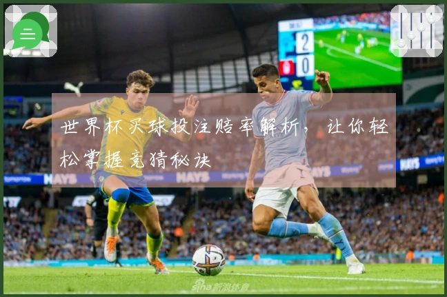 世界杯买球投注赔率解析，让你轻松掌握竞猜秘诀