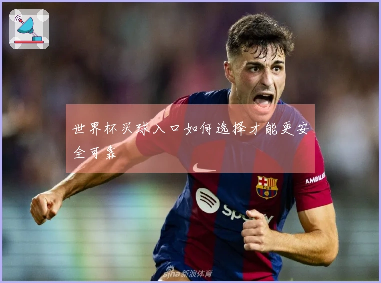 世界杯买球入口如何选择才能更安全可靠